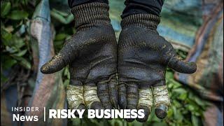 How Cocaine Is Made in Colombia With Bootleg Gasoline | Risky Business | Insider News