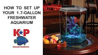 How to Set Up Your 1.7-Gallon Hex FRESHWATER AQUARIUM -  Koller Products