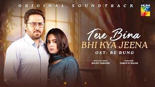 Tere Bina Bhi Kya Jeena - Be Rung OST ₊˚.⋆ [ Singer : Wajhi Farooki ] - HUM TV