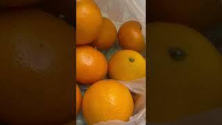Orange time, to boost immune system.