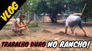 VLOG: Dia de muito trabalho no Ranchinho! Fizemos almoço caipira no fogão a lenha.