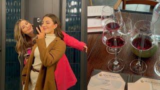 WINE TASTING WITH YOUR BEST FRIEND GETS CHAOTIC | Crystal Batshon