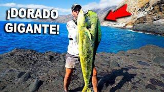 ¡¡PESCO ESTE DORADO EN LA COSTA!! [Todavía no me creo el tamaño de semejante bicho...]