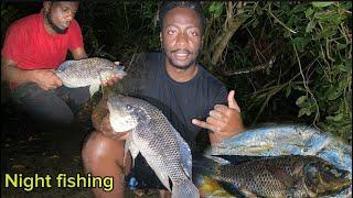 NIGHT Fishing / Giant African Tilapia found in Jamaica  Catch &Cook #africa  #diy