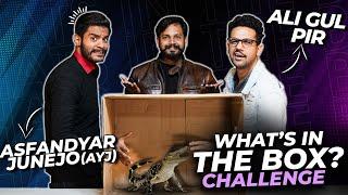 WHAT'S IN THE BOX Challenge ft. Ali Gul Pir & AYJ (Asfandyar Junejo) | EPISODE 9 | Azlan Shah