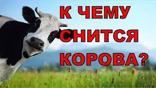 К чему снится КОРОВА? Толкование снов.