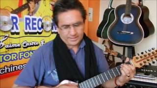 Linda flor | tutorial |Jaime Castro y Los Filipichines | Escuela de musica Cantautor Records