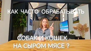 КАК ЧАСТО ОБРАБАТЫВАТЬ ОТ ГЛИСТОВ СОБАК И КОШЕК ПРИ КОРМЛЕНИИ СЫРЫМ МЯСОМ?