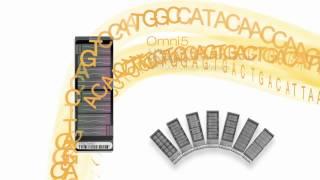 Illumina Arrays: Next-Gen GWAS Now