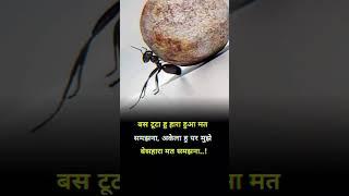 true lines #shorts #video #viral #trending #status #motivation #sad #best #blogger #Rahul Allmix 11