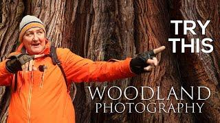 Woodland Photography TRY THIS