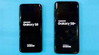 Samsung Galaxy S8 vs Samsung Galaxy S8+