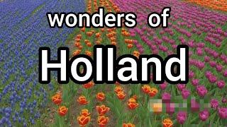 Wonders of Holland: Land of Windmills and Lavender Flowers "Travel Guide