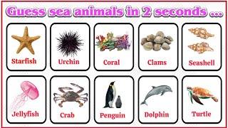 Sea Animals | Sea Animals Quiz | Learn Sea Animal Names | Ocean Animal | Sea Animal Puzzle