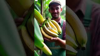 "How to Grow Bananas at Home (Even in Cold Climates!) " #GrowBananas #facts #UrbanGardening #short