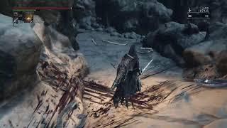 Souls Vet gets WRECKED