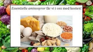 Lektion 4 - Proteiner, vitaminer och mineraler del 1