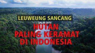 LEUWEUNG SANCANG!!! HUTAN PALING ANGKER Tapi Menyimpan Keindahan Yang Luar Biasa #AdrasaID #Sancang