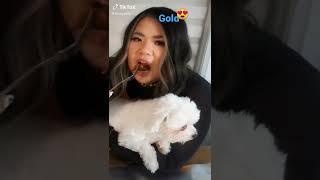 Golod