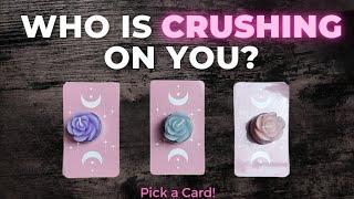 Who has a CRUSH on you?  Pick a Card Timeless Love Tarot Reading  What do they like about you?