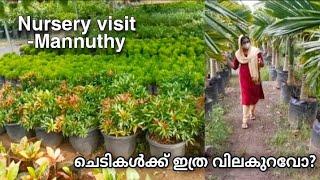 Mannuthy nursery visit in malayalam| plants names and prices| വിലകുറവിൽ കുറച്ച് ചെടികൾ വാങ്ങിയാലോ?|