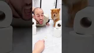 Funny moments #petloverscommunity #funnydog #pets #petloversunite #funnypet #animals #petneeds #duet