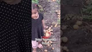 лайк босканди умрига рискига барака берсин #аллох #аминь #лайки #лайк #тикток #тренд #юмор #смех