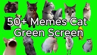 Cat Memes Green Screen