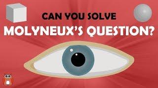 Molyneux's Question - Can It Be Solved?