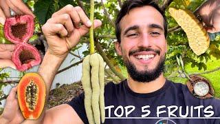 Top 5 Fruits in my Backyard Food Forest