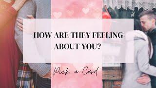 Pick a Card  HOW ARE THEY FEELING ABOUT YOU?  Timeless Tarot Card Reading!!