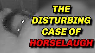 Do Not Go To Horselaugh.com