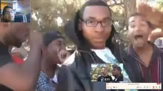 Roasting Boibot