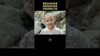 【小笼包】春是生死的负重#shorts 1