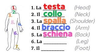 Italian how to name HUMAN BODY parts | Body and hands | With pictures | Learn italian free lessons