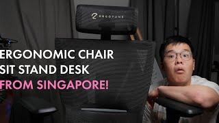 ERGOTUNE SUPREME and EverDesk+ MAX Sit Stand Desk Review!