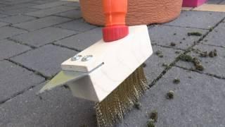 How to remove moss from paving - garden tips