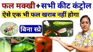 फ्रूट फ्लाई  कंट्रोल | fruit fly control | thrips whitefly control | fruit fly control insecticide