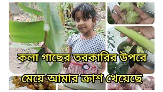 কলা গাছের তরকারির উপরে মেয়ে আমার ক্রাশ খেয়েছে।