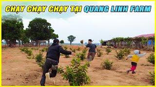 Chạy Chạy Chạy Tại Quang Linh Farm??? Lần Đầu Tỉa Ổi Và Cái Kết || Cô Gái Châu Phi.