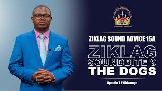 ZSA 15A : Ziklag Soundbite 9 : The Dogs | Apostle T.F Chiwenga | 29 September 2024 | Second Segment