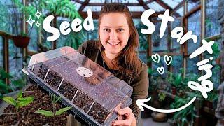 Seed Starting Indoors in Winter for Spring Gardening