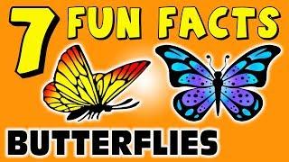 7 FUN FACTS ABOUT BUTTERFLIES! BUTTERFLY FACTS FOR KIDS! Learning Colors! Insects! Funny Sock Puppet