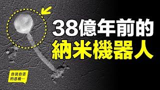 38億年前的納米機器人：曾被雪藏100年的發現，未來將是拯救人類的超級武器……|自說自話的總裁