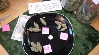Harvest Results for Alien Inferno Critical Plus