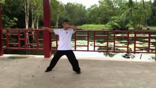 Chen Style Tai Chi Movement Demo 2