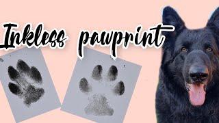 PAW PRINT KIT *MESS FREE* | German Shepherd