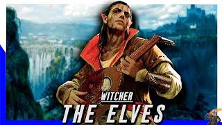 The Origin Story Of The Elves From Witcher | The True Book & Game Lore