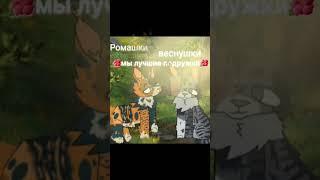  | @KariP-so2uj #котывоители #лп #кв #квтоп #лучшиеподружки 