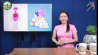 Grade 8 English - Visual-verbal relationship in expository text